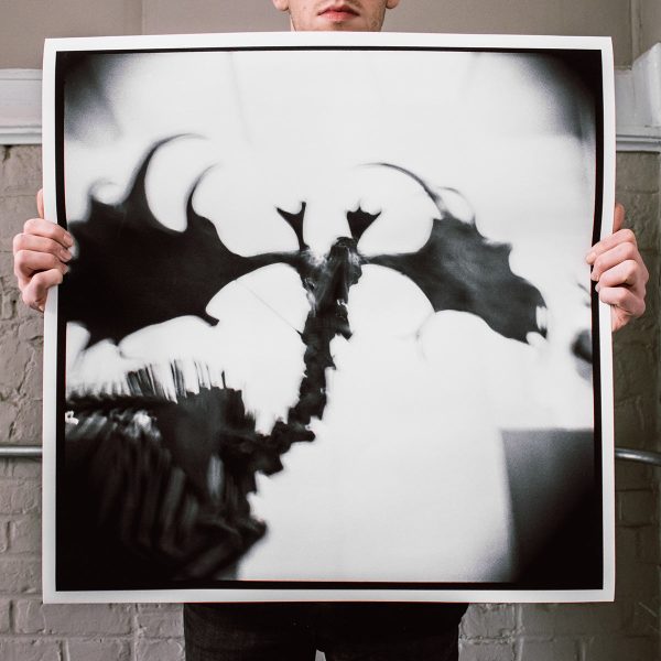 Reid Haithcock  Bones: 1  Giclee Print Online Hot Sale