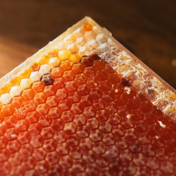 The Martin Hives Honey Co.  Connecticut Honey Comb  For Cheap - Image 5