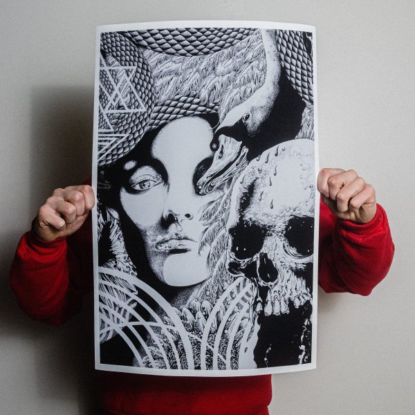 Fajar Allanda  Swans  Giclee Print For Sale